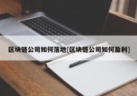 区块链公司如何落地[区块链公司如何盈利]